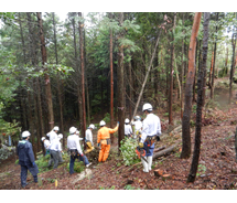 第38回 H23年10月 ヘクタール当り900～1000本に調整している